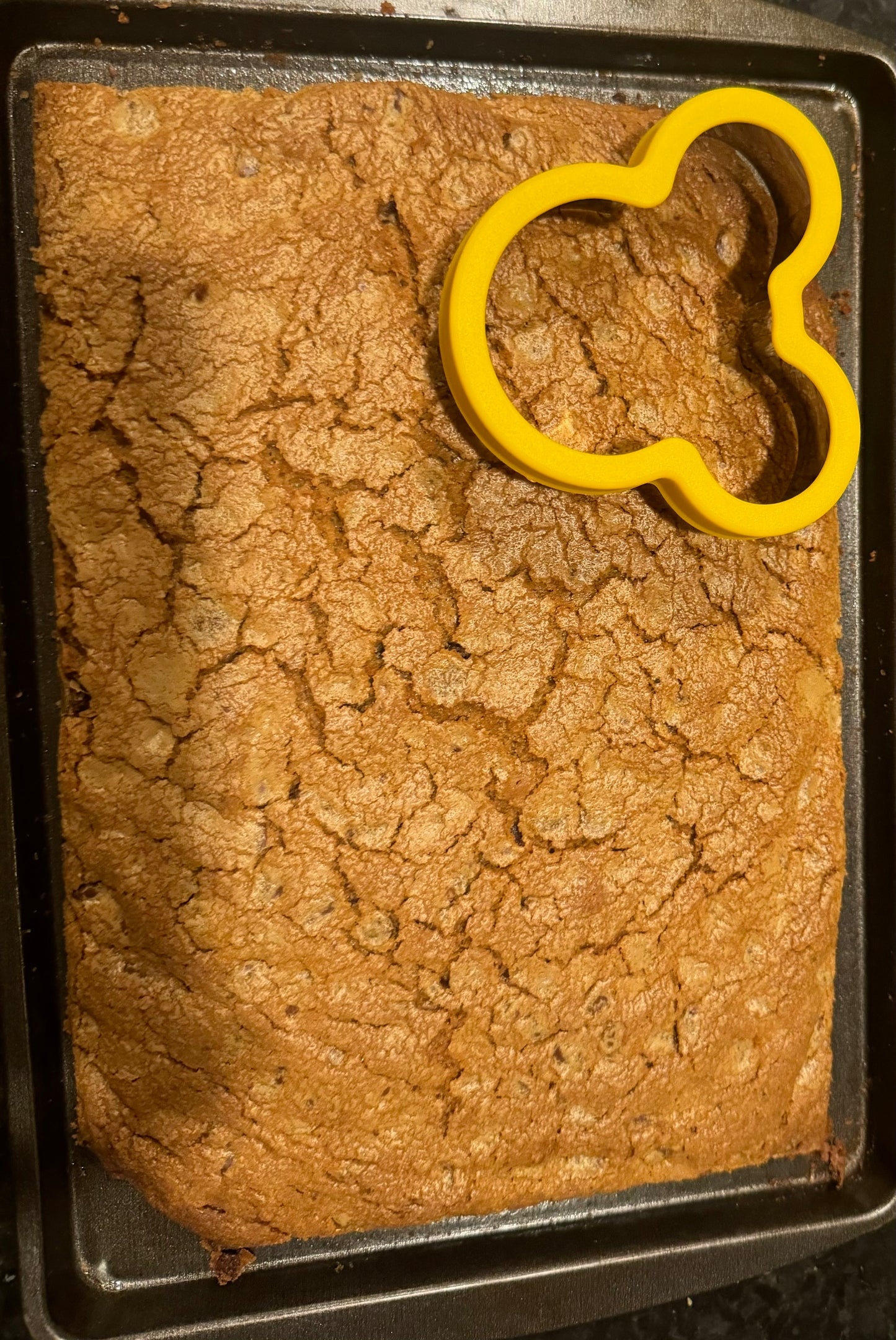 Fun-Shaped Sandwich & Cookie Cutter Set for Kids’ Lunches