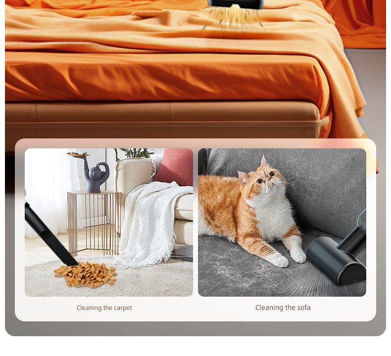 German Wireless Vacuum Cleaner for Pet Fur Removal